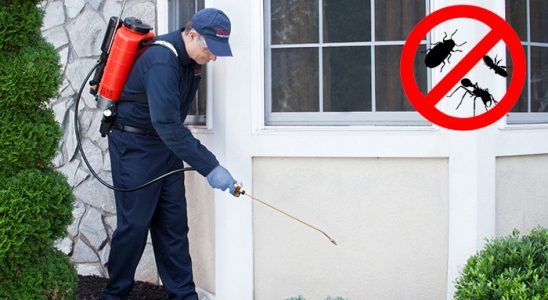 Ayancık Böcek İlaçlama böcek ilaçlama ve haşere kontrolü — ilaclama-tr.com